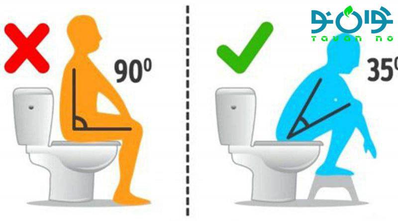 نحوه صحیح استفاده از توالت فرنگی پلاستیکی وتوالت فرنگی تاشو-03